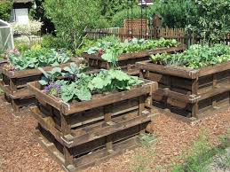 Potager Campagne à Lyon