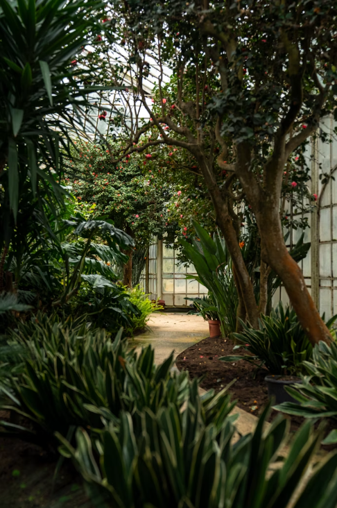 Jardin Zen à Toulouse