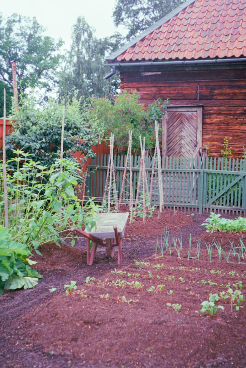 Potager Campagne à Lyon